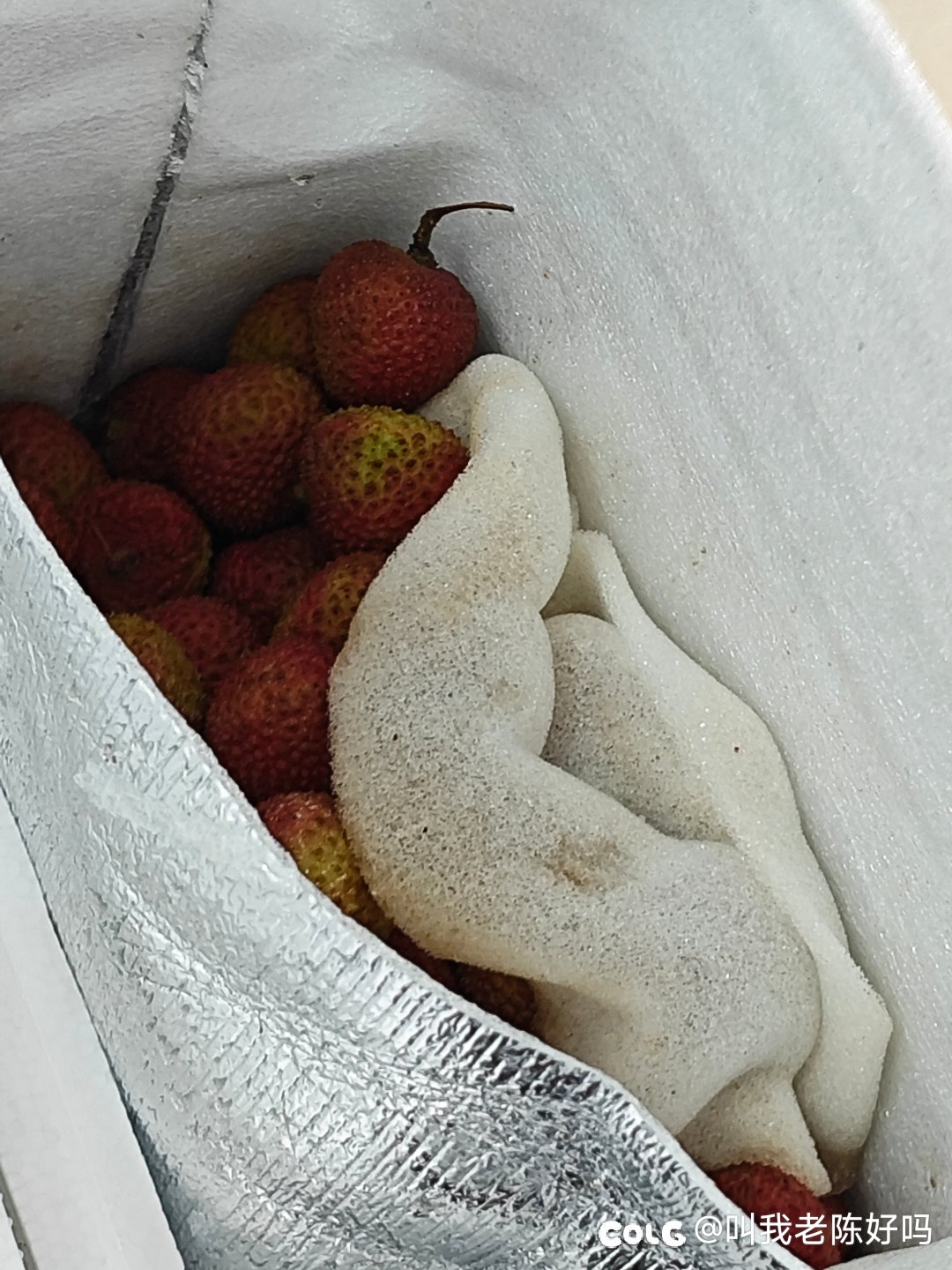 荔枝荔枝荔枝1