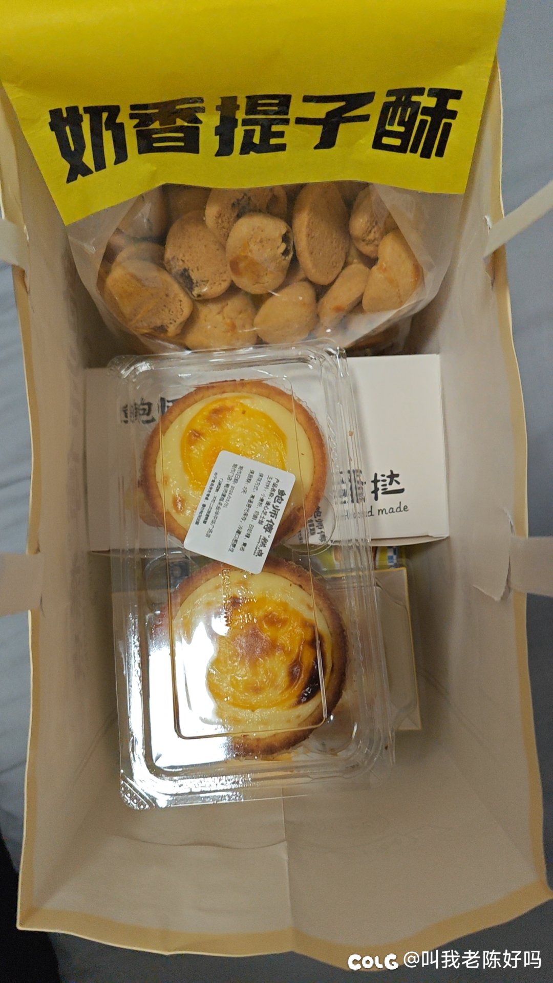 变猪变猪1
