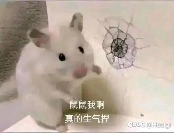 老铁猫儿们，出好东腮了。8