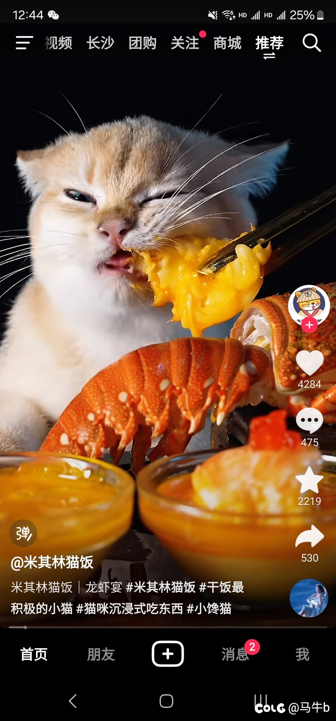 为什么我会刷到这种玩意2
