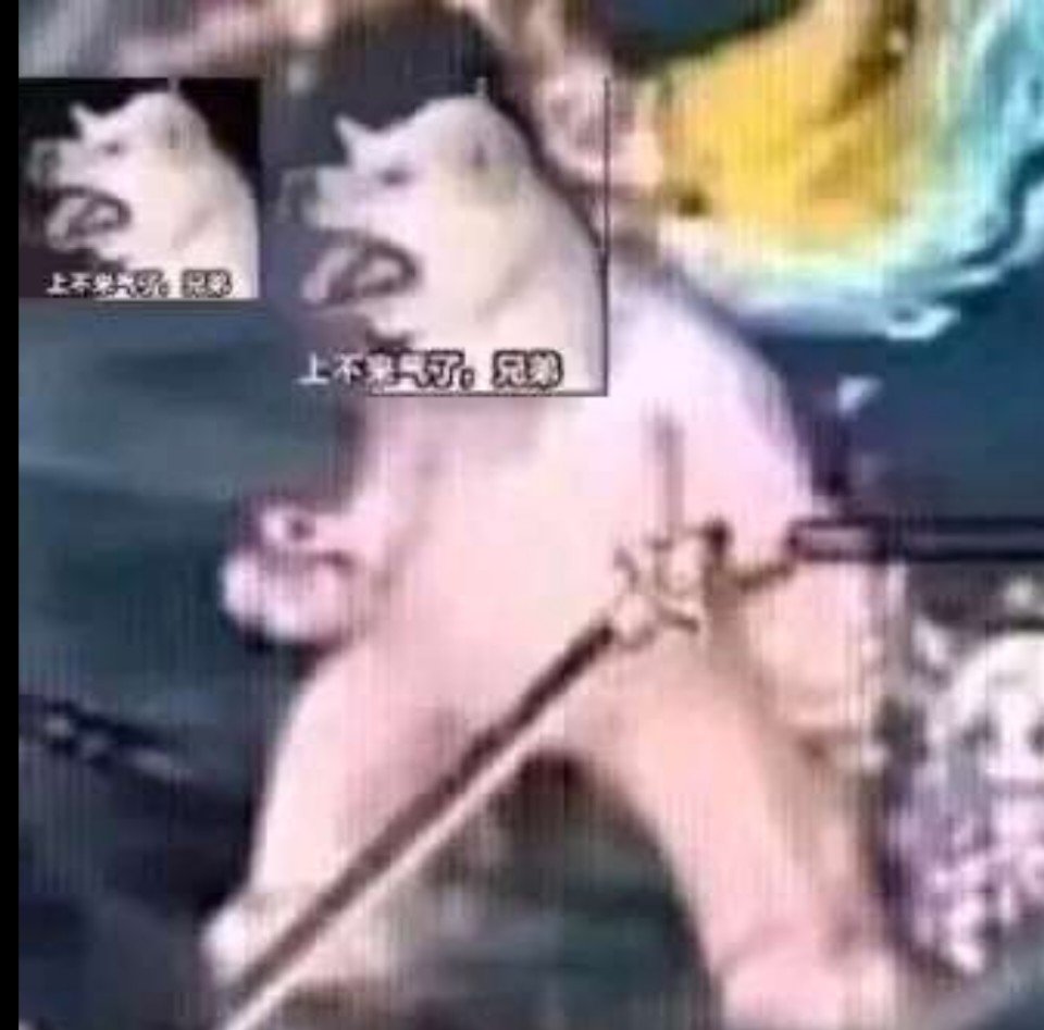 当年骑奶头上的仨职业，鬼泣和大将军一削再削至今，为什么不能跟剑帝一样公平对待呢1