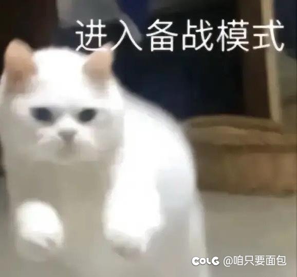 周年庆会更新团本嘛1