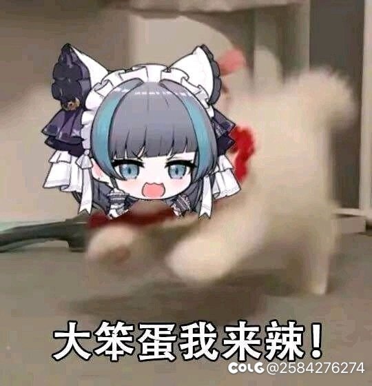 标题就叫女枪暖暖1
