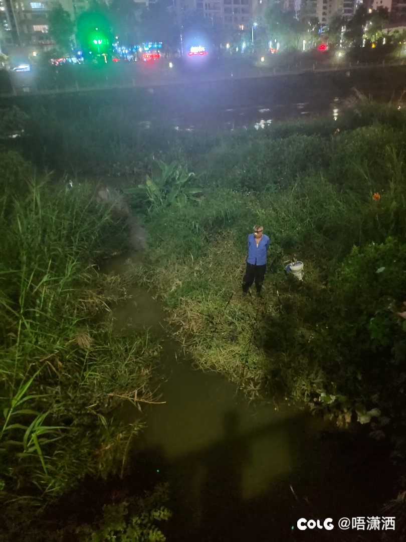 哪怕是520，钓鱼佬也会准时出现在奇怪的地方1