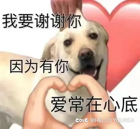 哈哈iqoo的评分2
