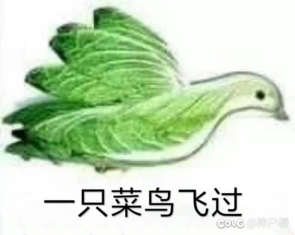 奶萝兼顾单刷选沉沙套还是未知套好？1
