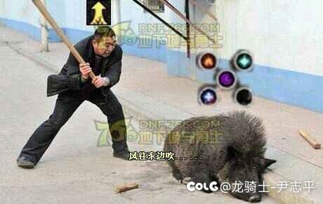 跨6  小团体  月 光  收高手玩家2