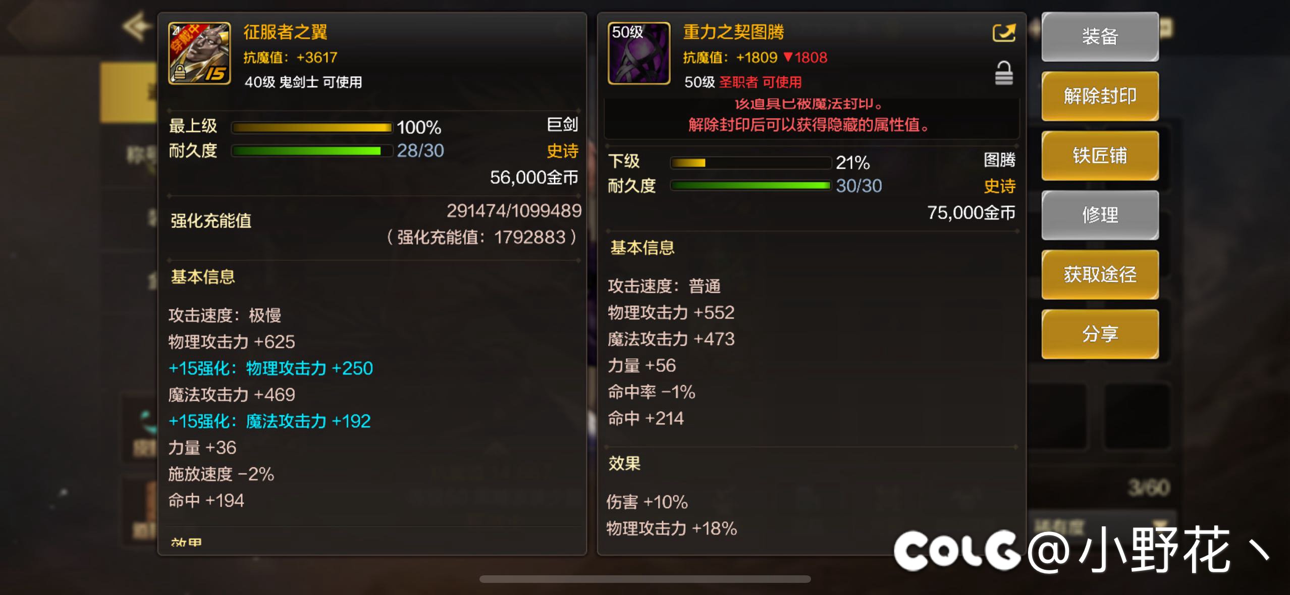 圣职能用图腾吗1