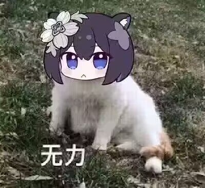 妖护使为了玩的舒服放弃高伤70护石9保蓝灵751