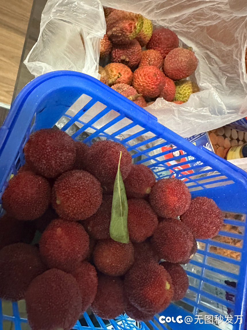 水果真不用买吧1