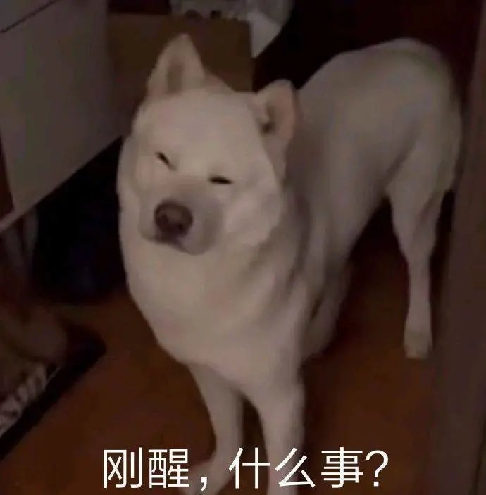 怎么感觉开完盲盒没啥感觉1