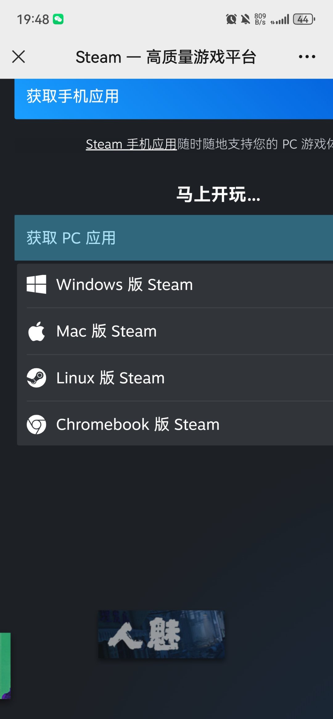 你们能进steam官网吗1
