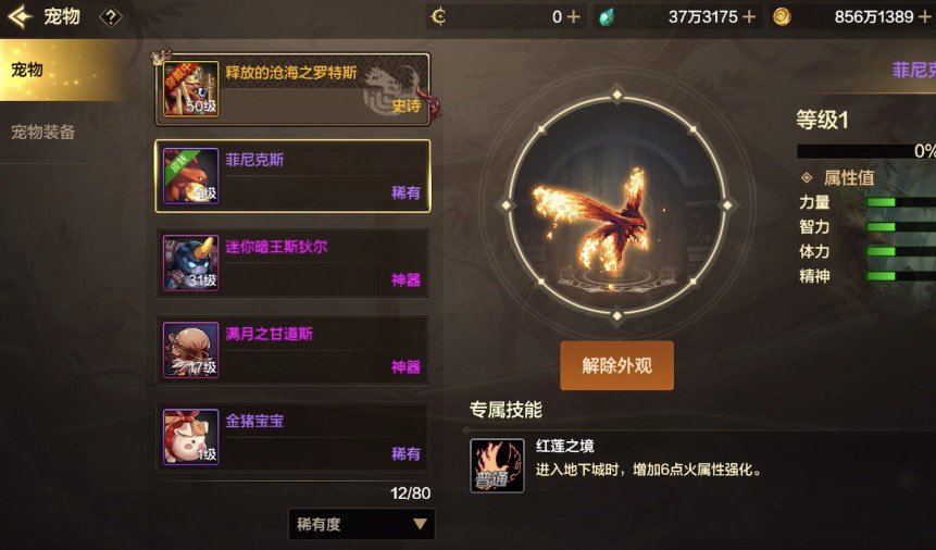 手游竟然有宠物幻化1