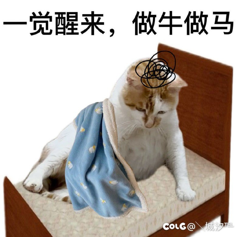 前排友情提醒，该清理仓库了1
