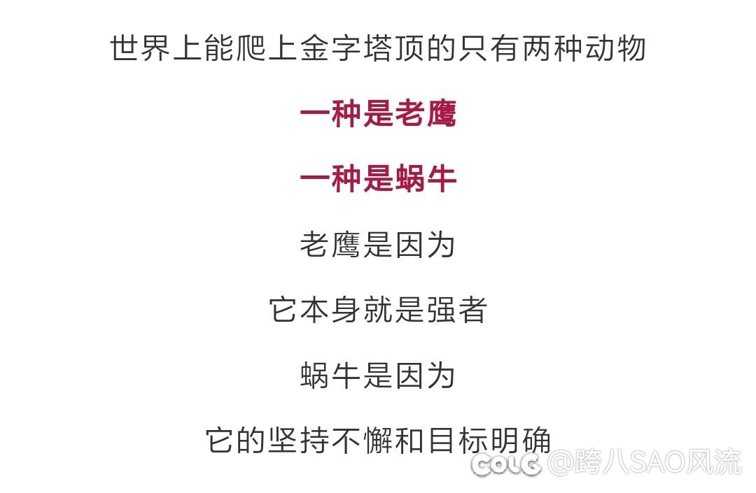 跨七/八鹰与蜗牛大型流水团欢迎大家2