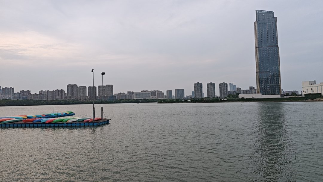 山猪来吃细糠了2
