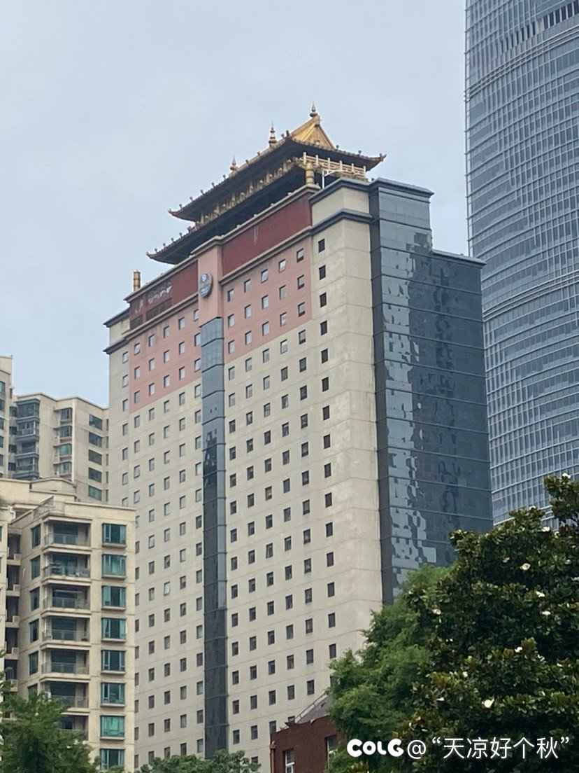 端午继续带娃到城里见世面3
