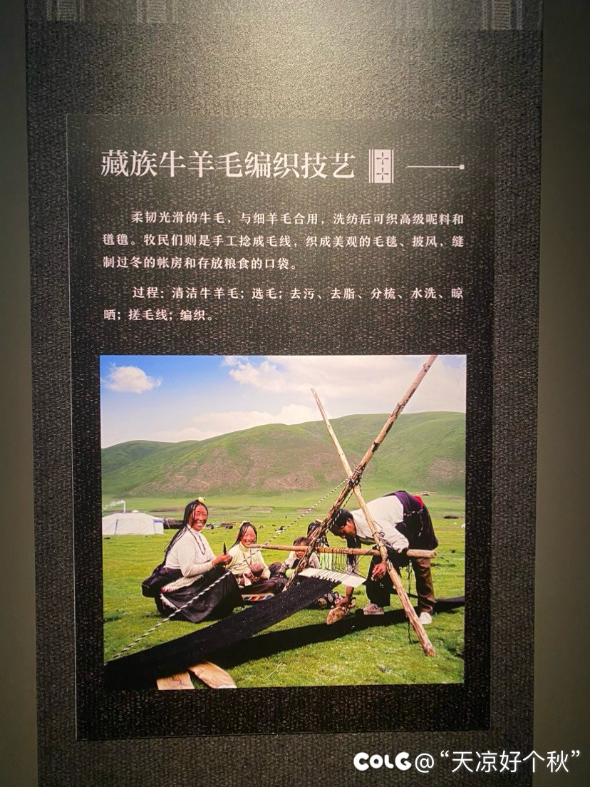 吃完早饭顺便逛展 兄弟们一起来看5