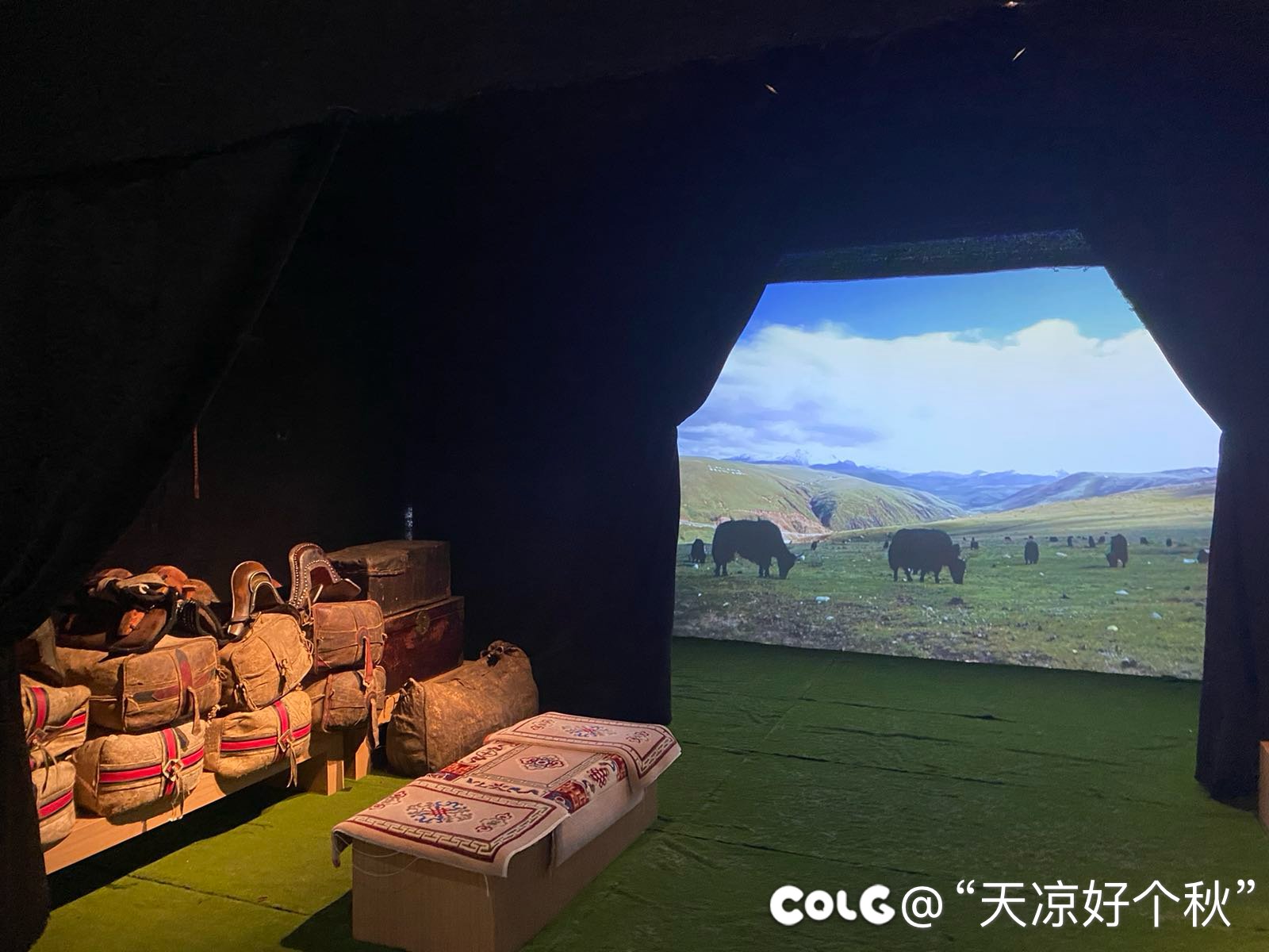 吃完早饭顺便逛展 兄弟们一起来看6