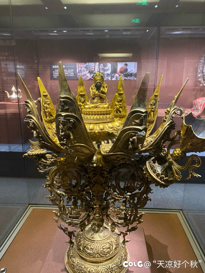 吃完早饭顺便逛展 兄弟们一起来看11