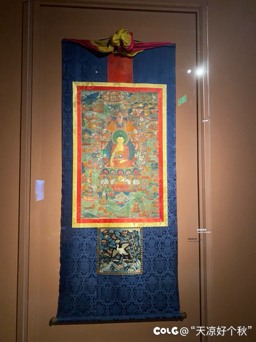 吃完早饭顺便逛展 兄弟们一起来看15