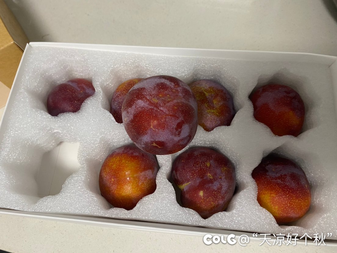 朋友送的槜李到了2
