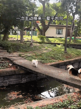 今日一图1