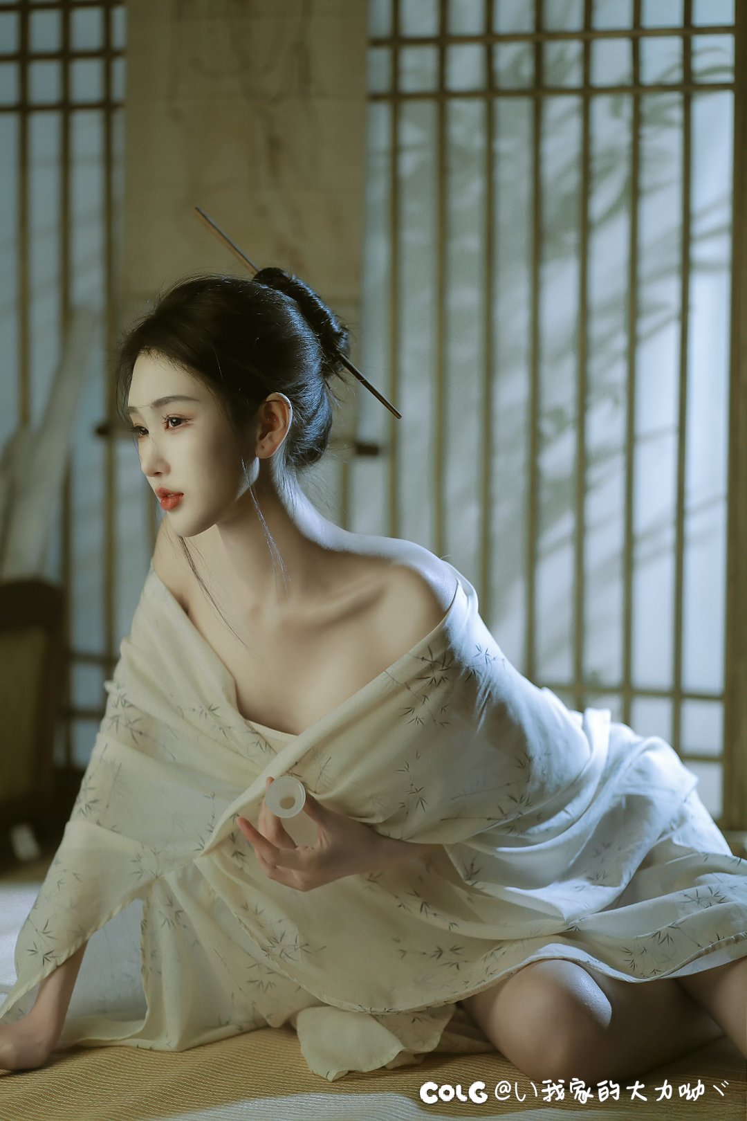 蓝色紫色狗粮怎么喂和分解最合适3