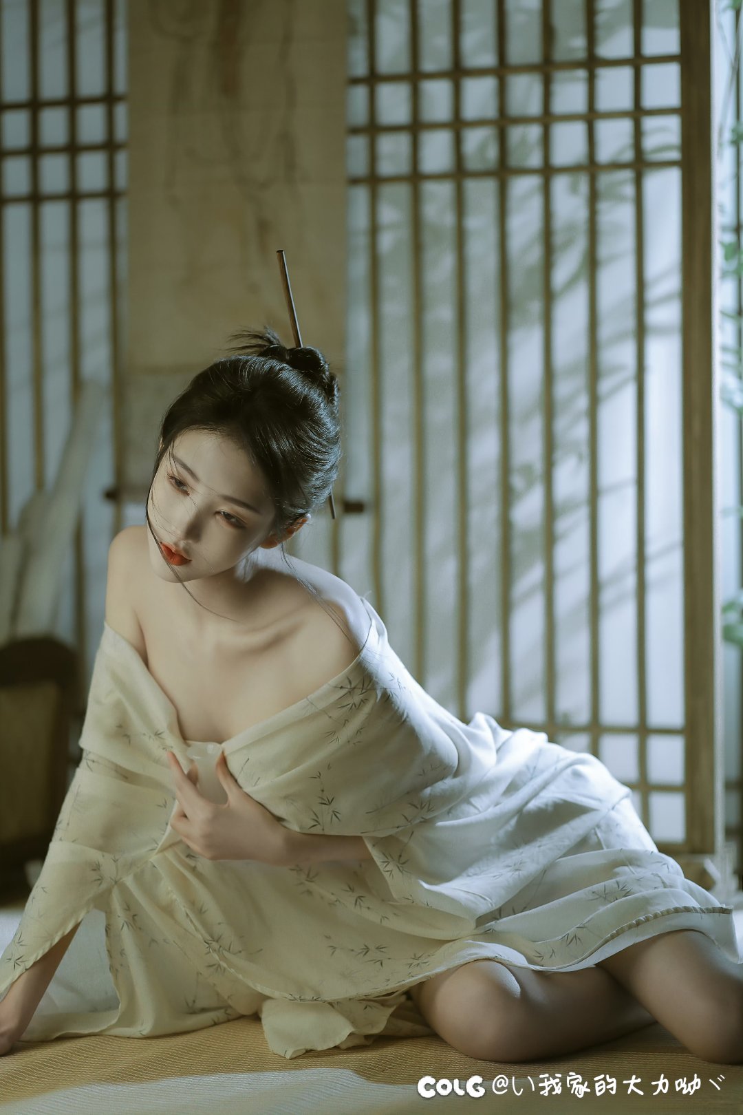 蓝色紫色狗粮怎么喂和分解最合适4