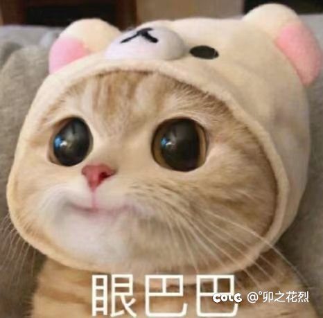 得，笔记本系统彻底崩了1
