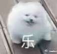 好家伙居然还有钱1