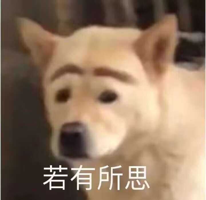 暖完发个全家福2