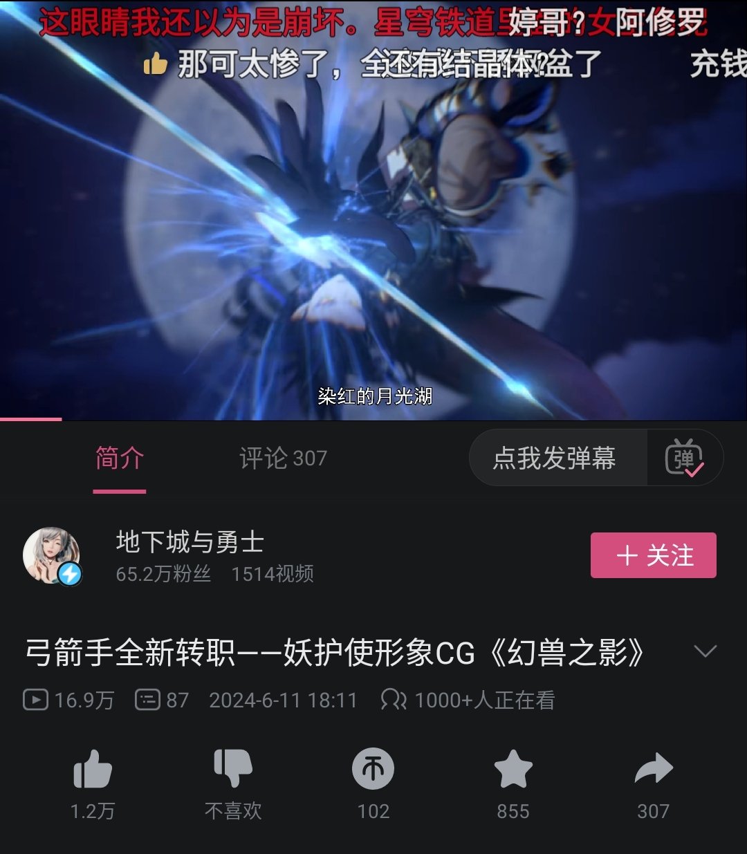 我们猫猫也太有人气了1