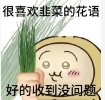很喜欢韭菜的花语1