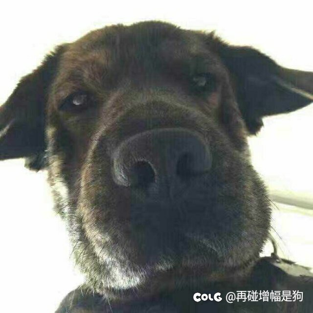 你们在转职的时候会把脸部和胸部装扮的攻速换成异常抗性吗1