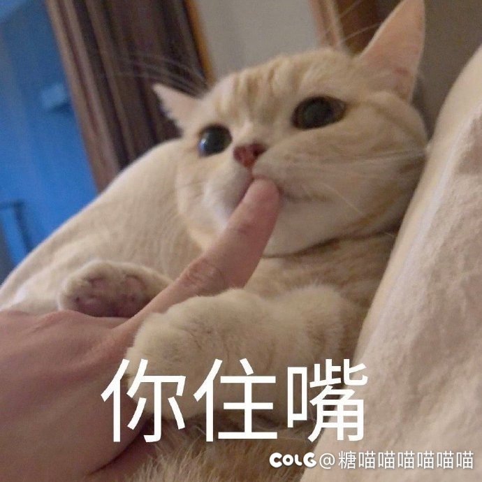 黄金转职书求推荐1