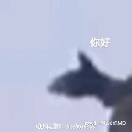 卡尼娜1