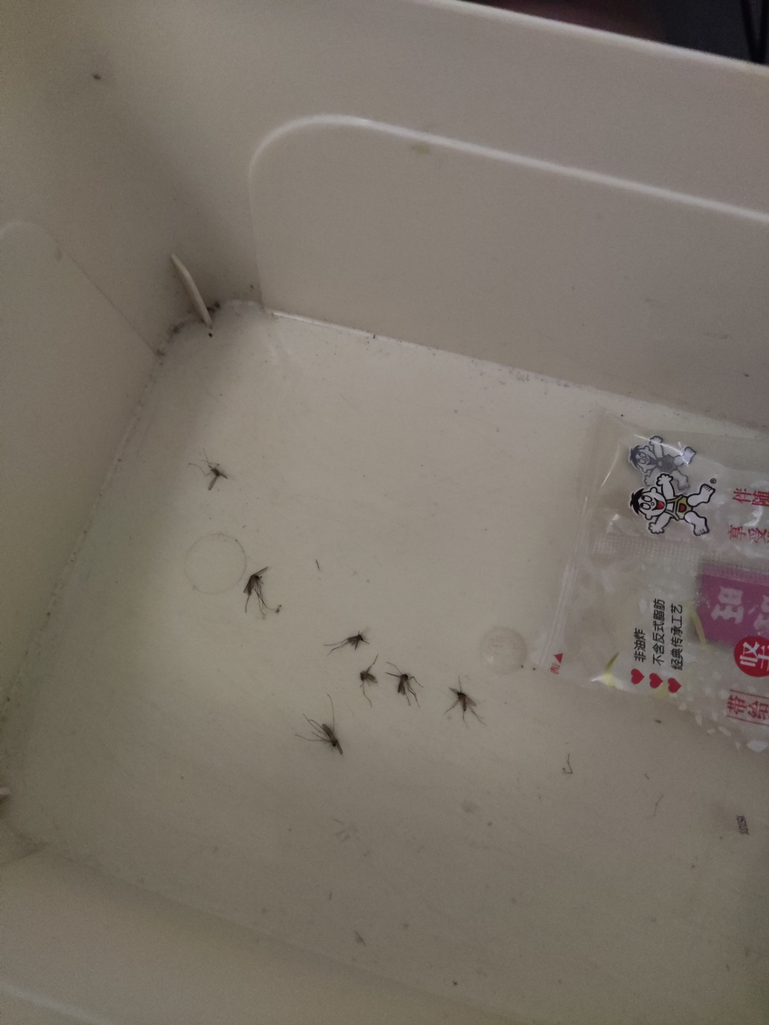 打个游戏被叮麻了1