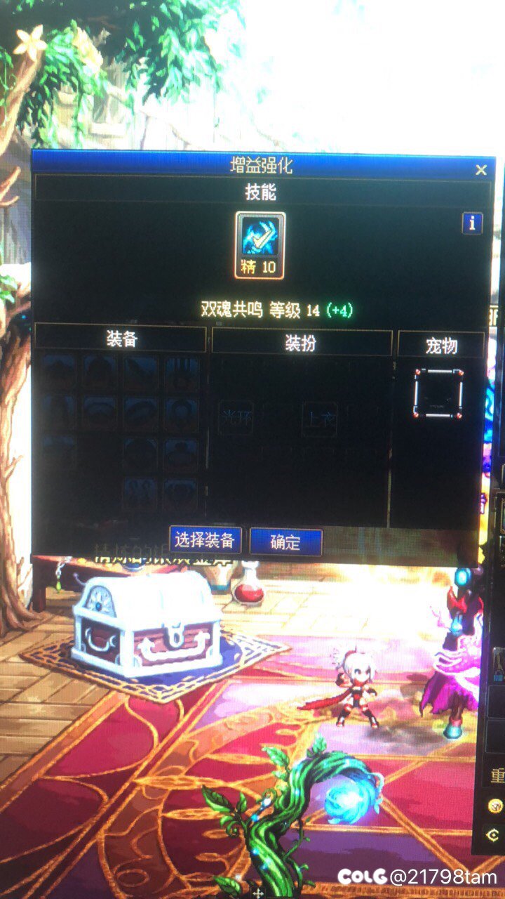 剑影三级buff称号2