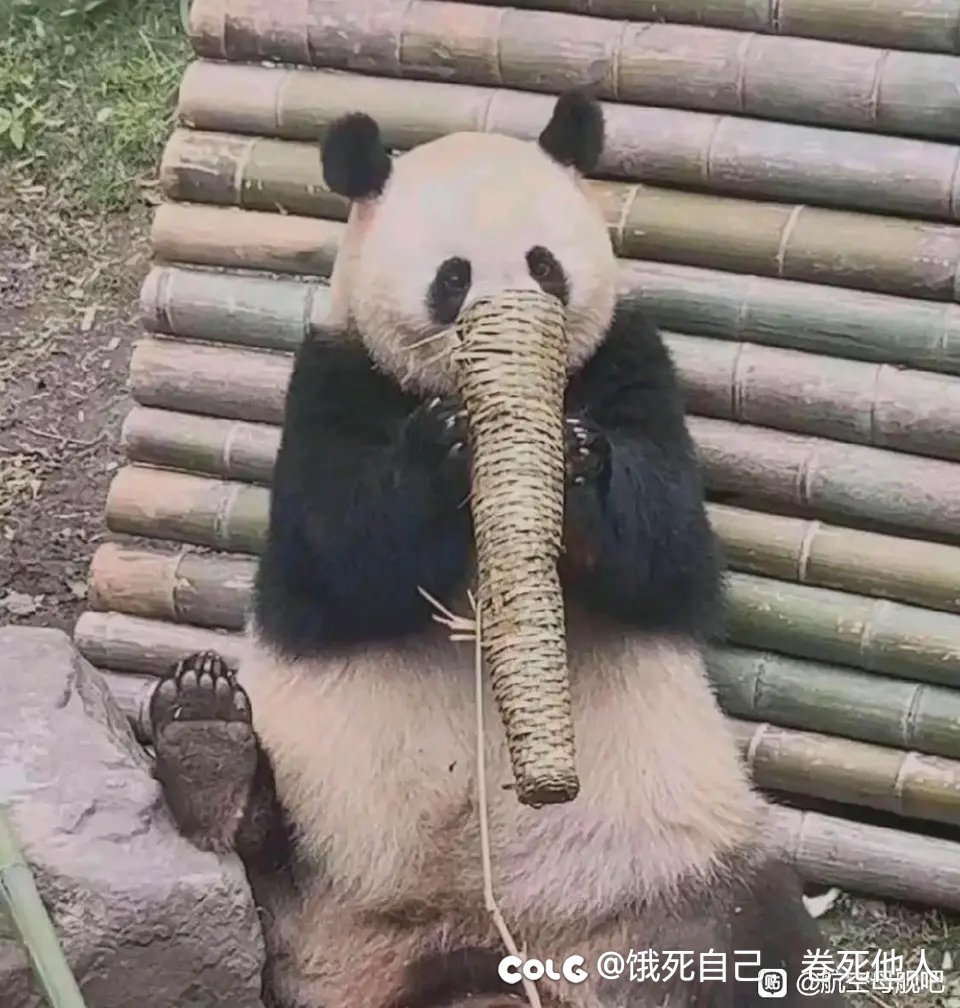古老神秘的东方大国1