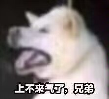 DNF不需要视力3