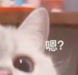 母气功还在加强？？？1