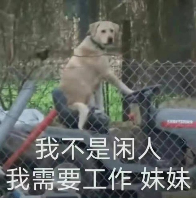 各位觉得，应该是以伤害定门槛，还是以打造定门槛呢?1