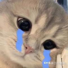 坏了，我年纪轻轻就有帕金森综合征了1