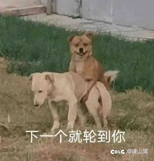 什么，已经神人了吗1