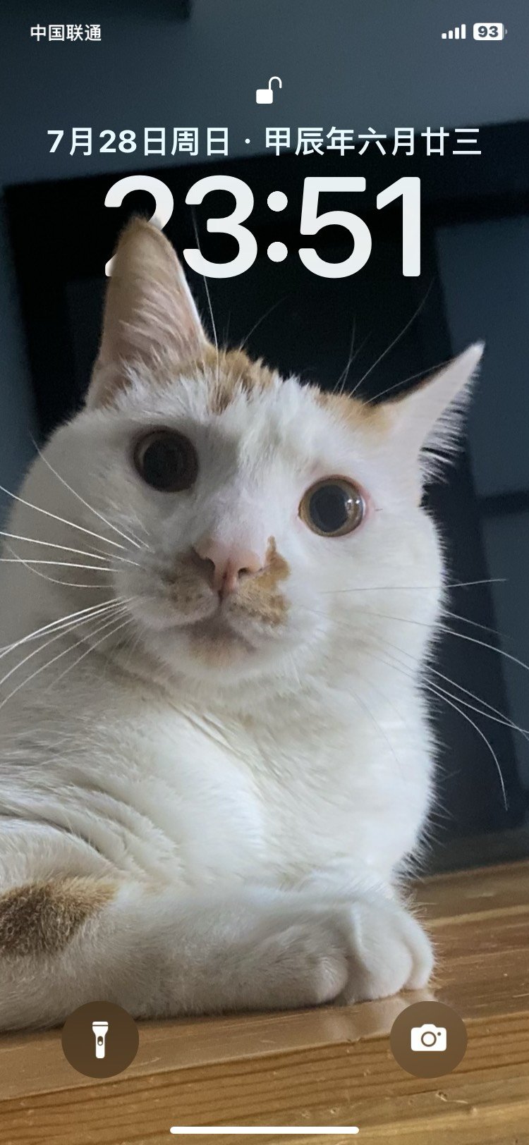 打团准备必须要加提示音1