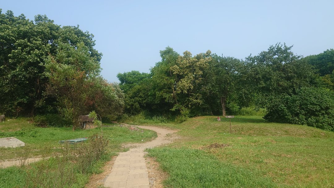 再试试ip6