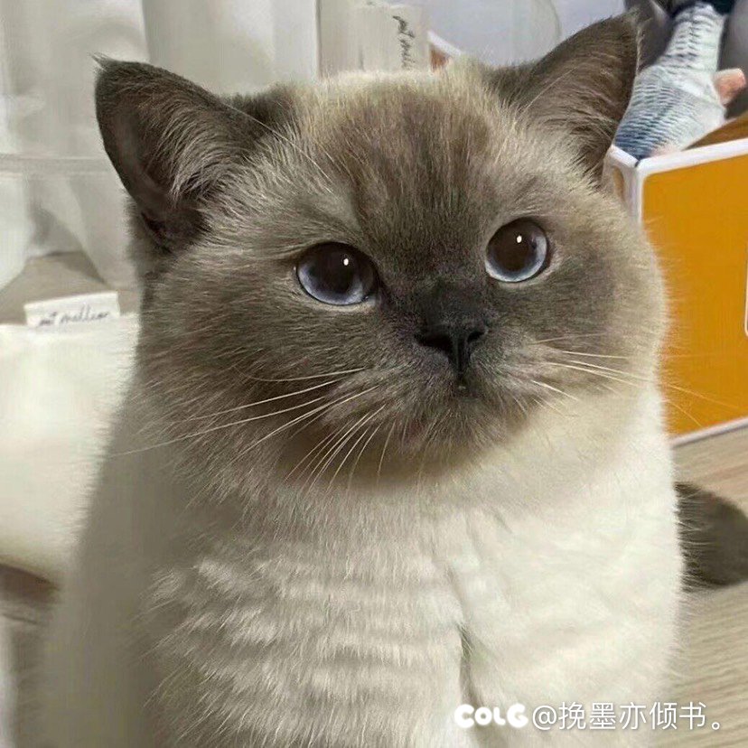 冒险团改名要过期了，还没想好改啥，救救3