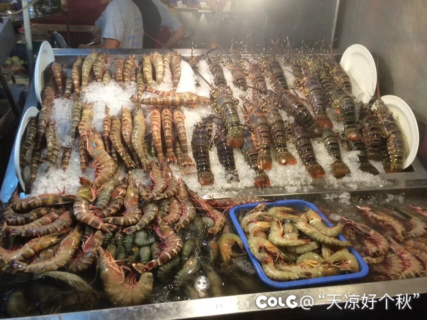 想在夏天带娃去海边的那位坛友13