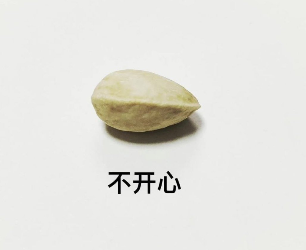 请选择你的开心果1